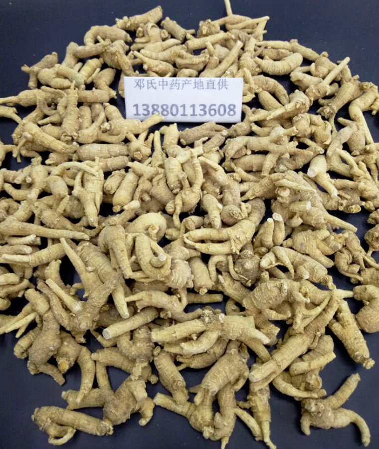 shandongxiyangshen3keyuancongal010.jpg