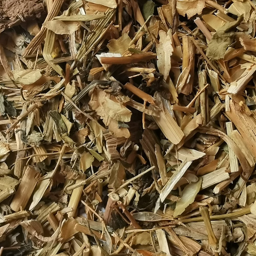 石龙芮3_副本.jpg