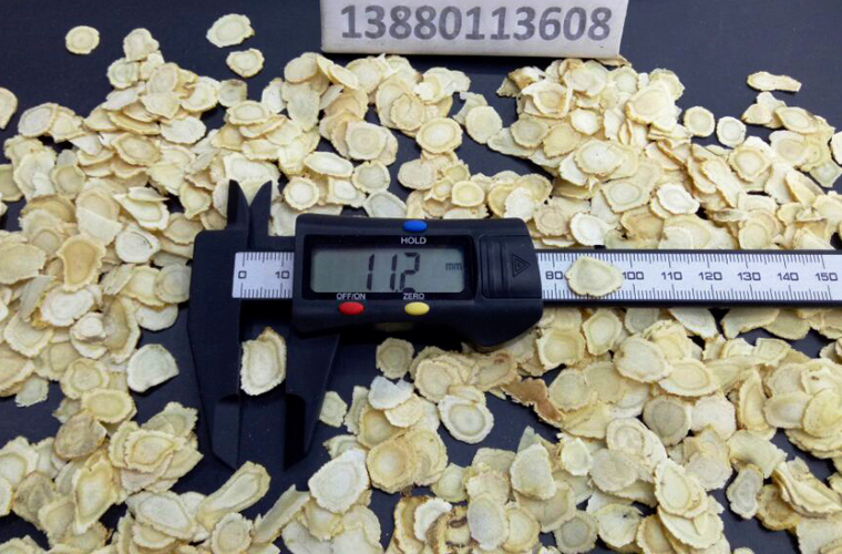 xiyangshen1.0ruanzhial022.jpg