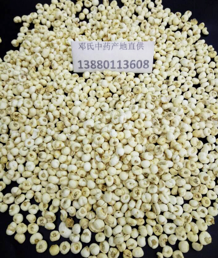 pingbeimuxiaobeial08.jpg