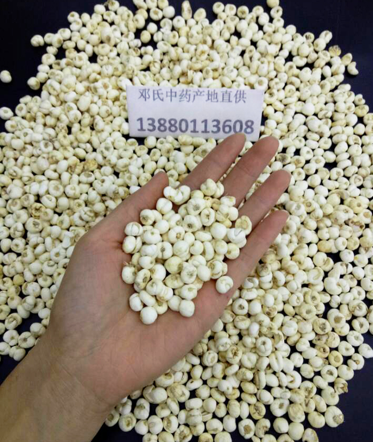 pingbeimuxiaobeial010.jpg
