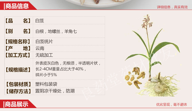 白芨_02_副本.jpg