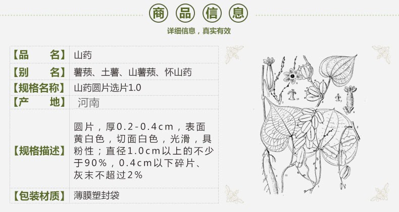shanyao1.jpg