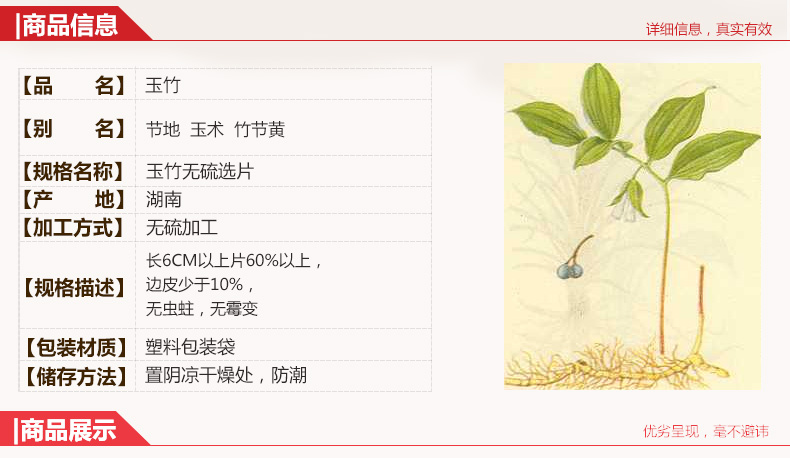 玉竹2.jpg