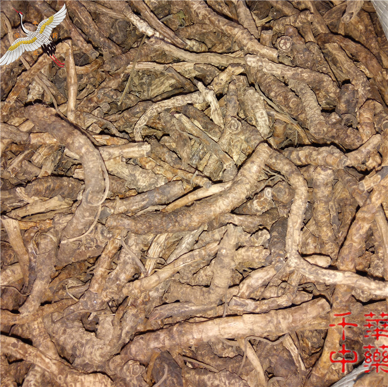 胡黄连170川货科~02_副本.jpg