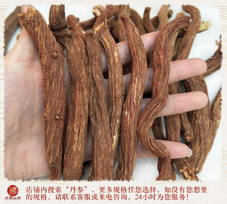 cstcssnzjdanshentiao1ji013.jpg