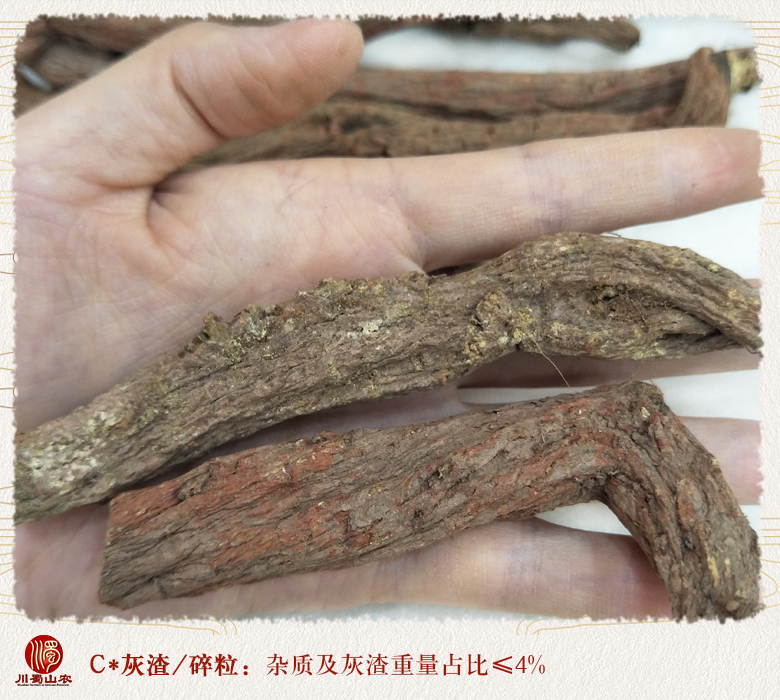 cstcssnzjdanshenteji010a.jpg