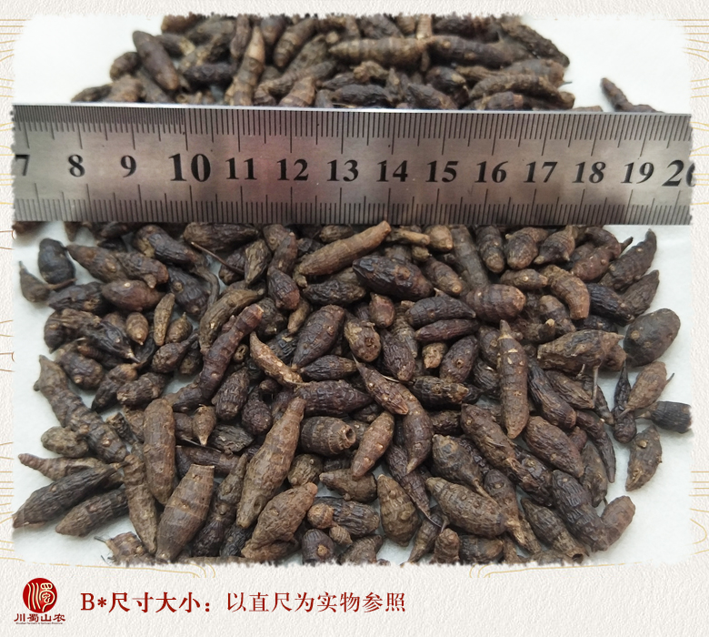 cstcssnxiangfuzitong07.jpg