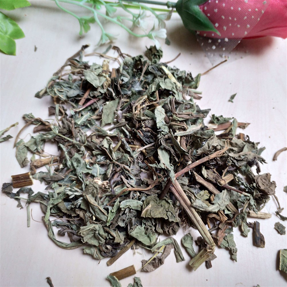北败酱草 (2).jpg