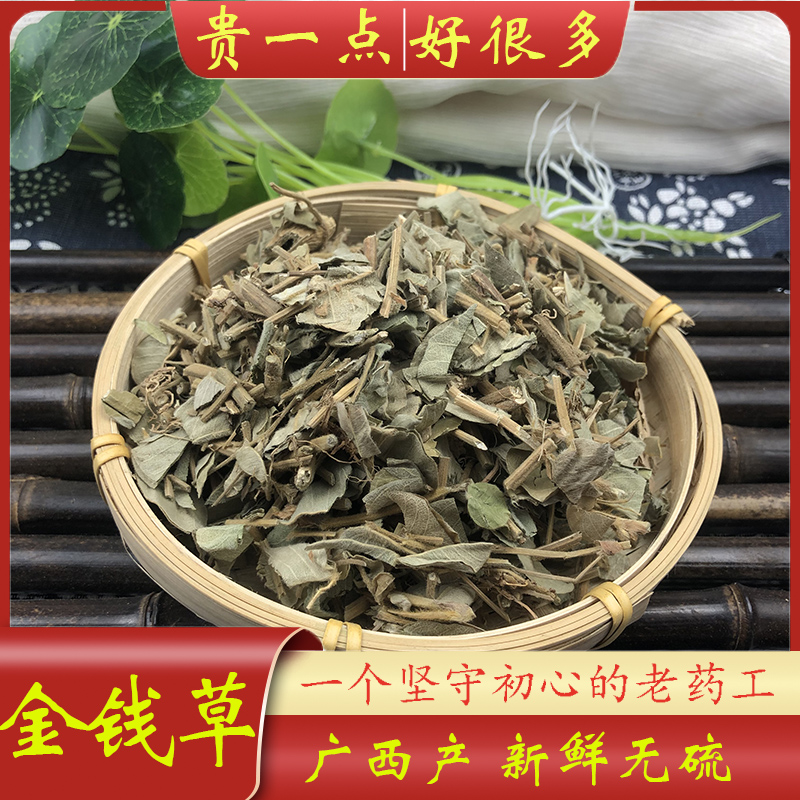 大叶金钱草主图1.jpg