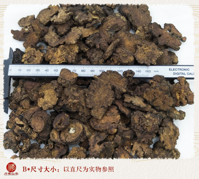 cstcssnzhichuanxiongtongpian09.jpg
