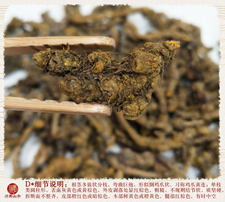 cstcssnhuangliandanzhi011.jpg