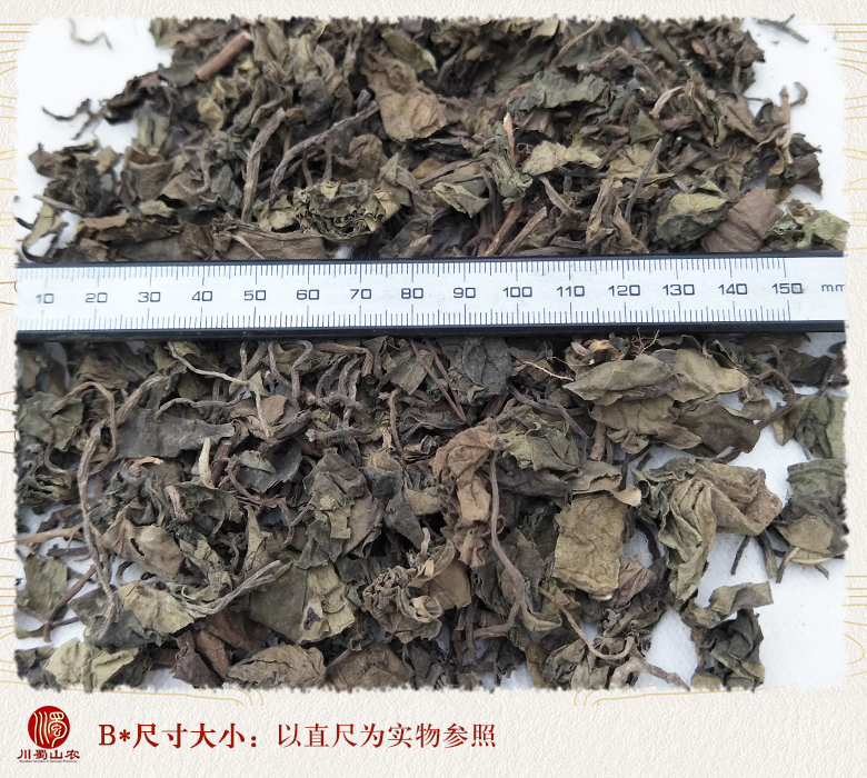 cstcssnshaoyexixin010.jpg