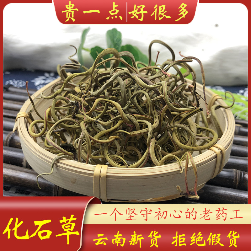 化石草主图1.jpg