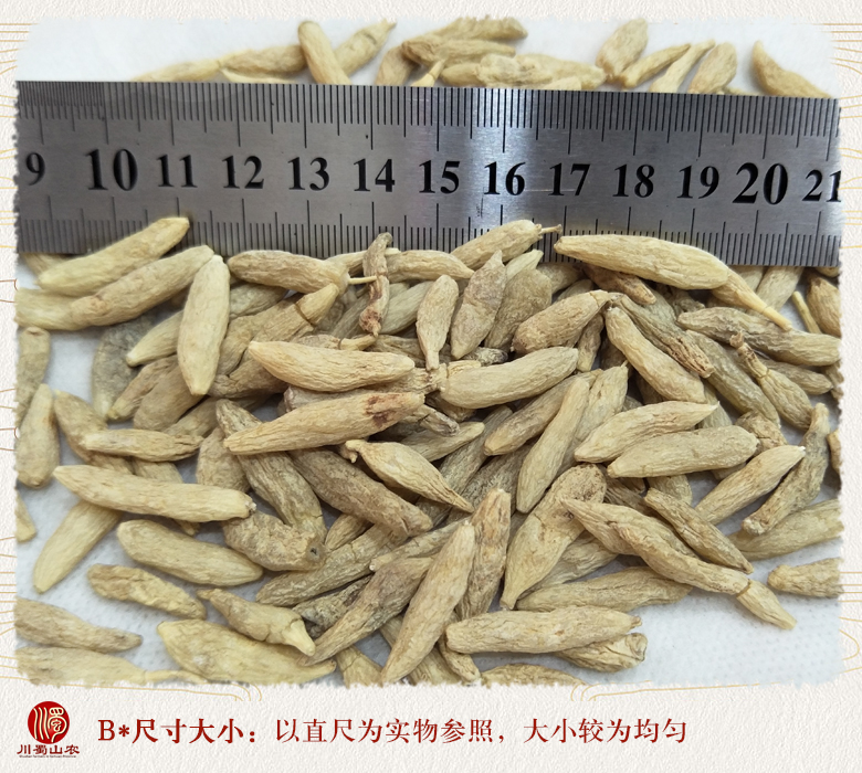 cstcssnmaidongyiji09.jpg