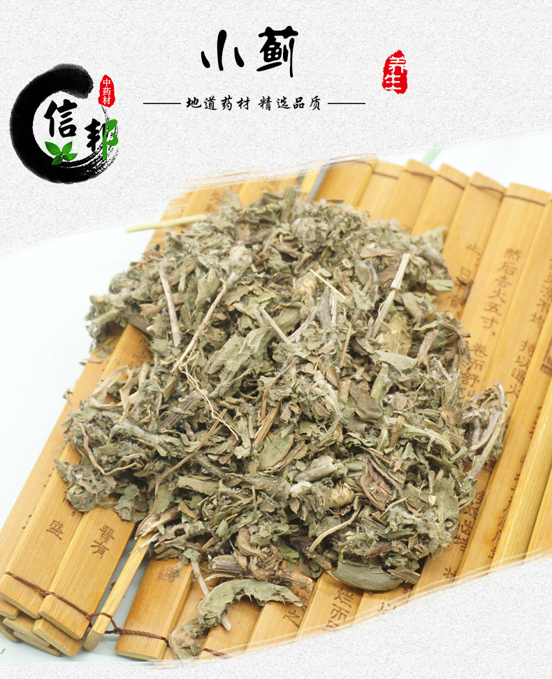 小蓟详情1.jpg
