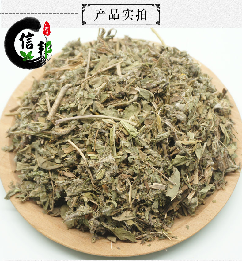 小蓟详情3.jpg