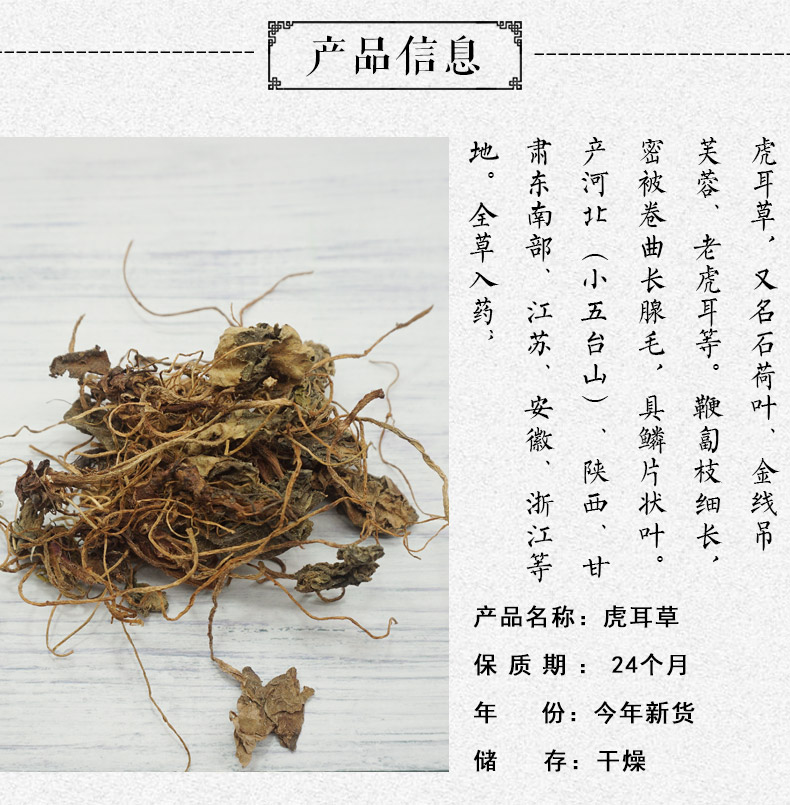 虎耳草详情2.jpg
