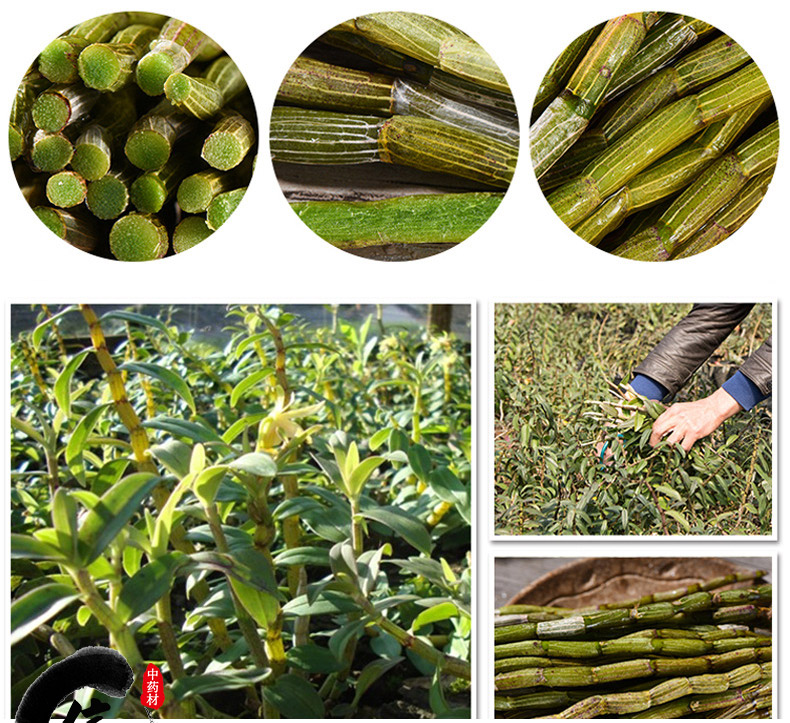 石斛鲜条详情7.jpg