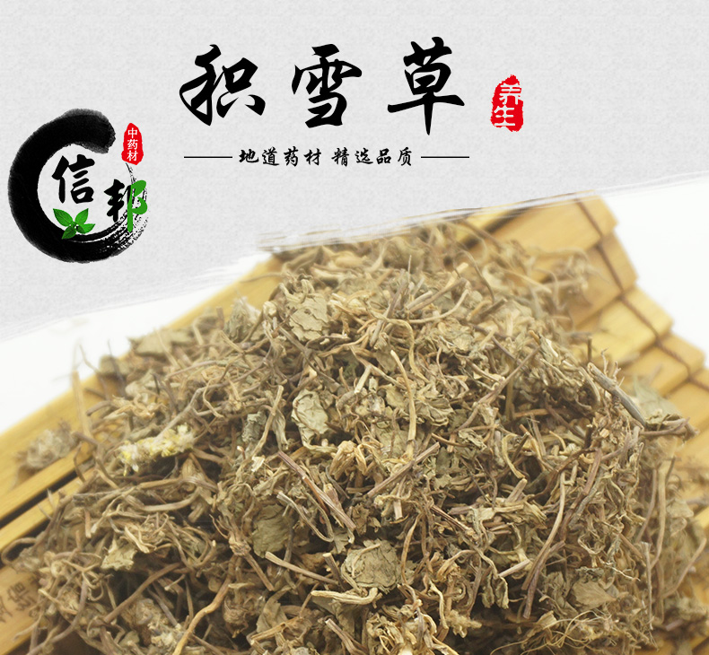 积雪草详情_01.jpg