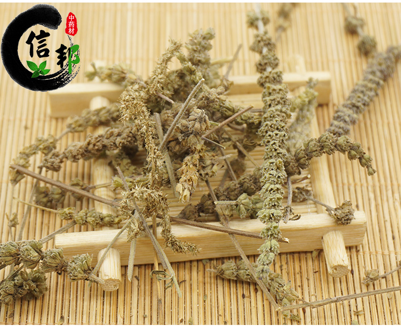 荆芥_07.jpg