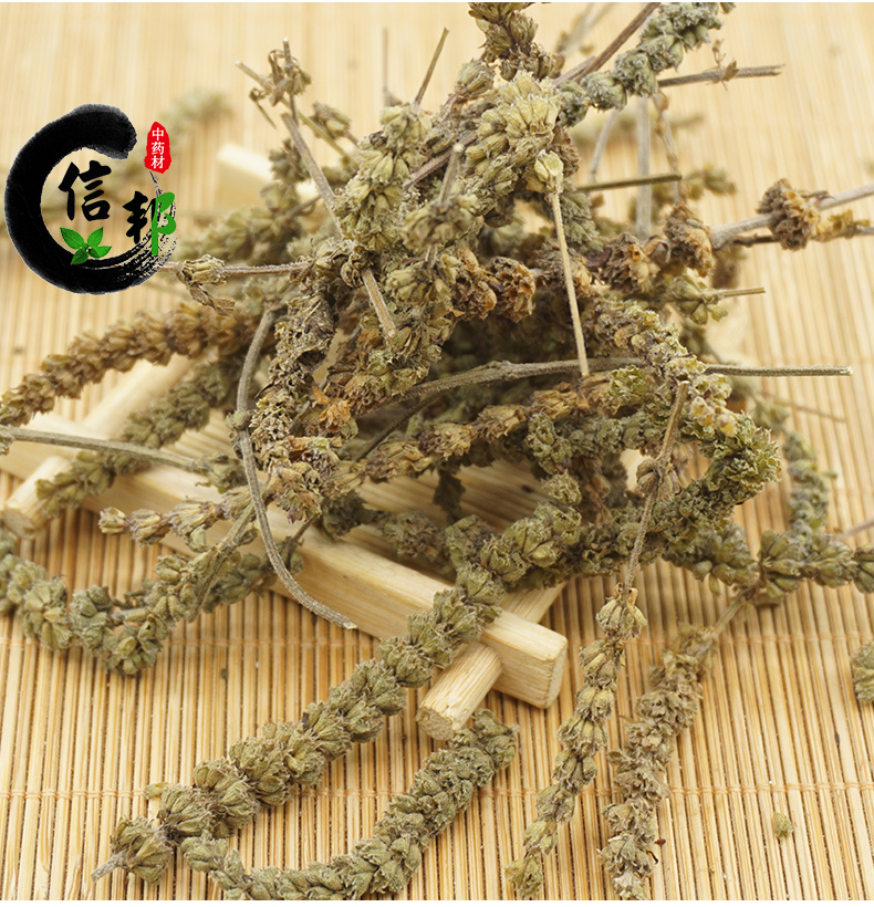 荆芥_05.jpg