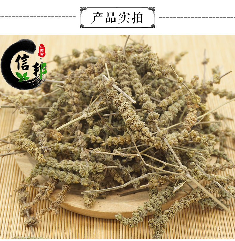 荆芥_03.jpg