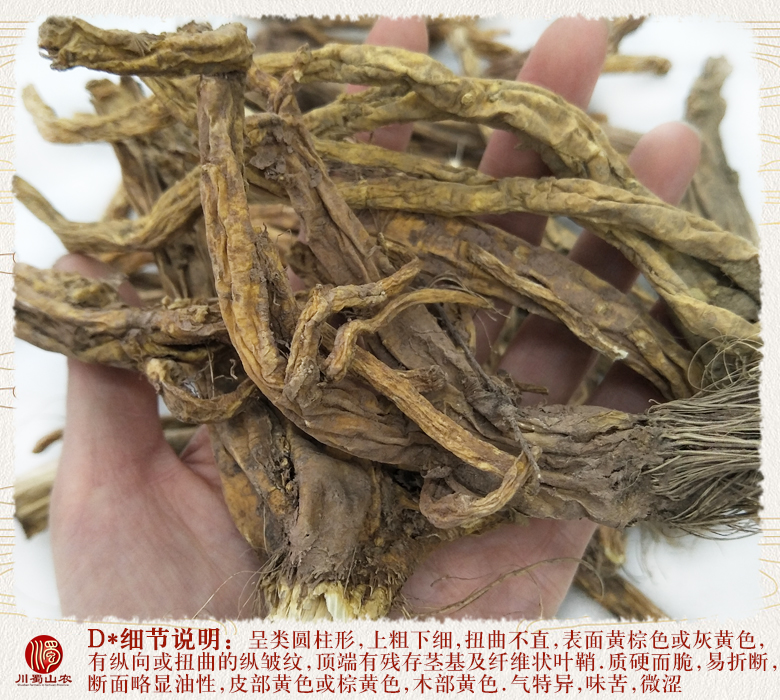 cstcssnqinjiaogeziyesheng011.jpg