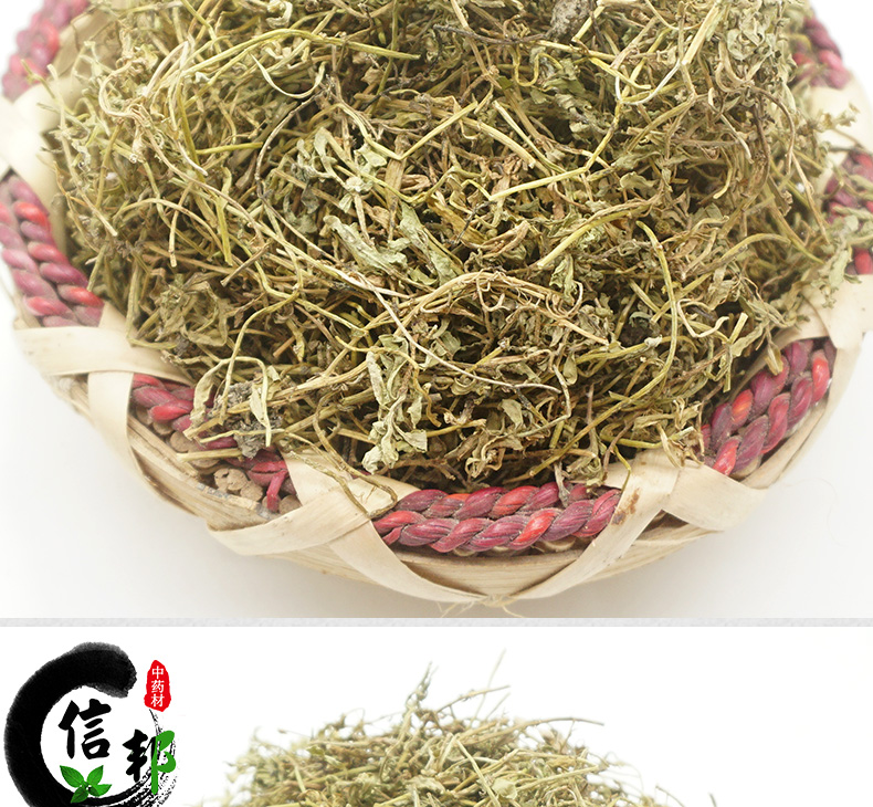 鹅不食草详情_04.jpg