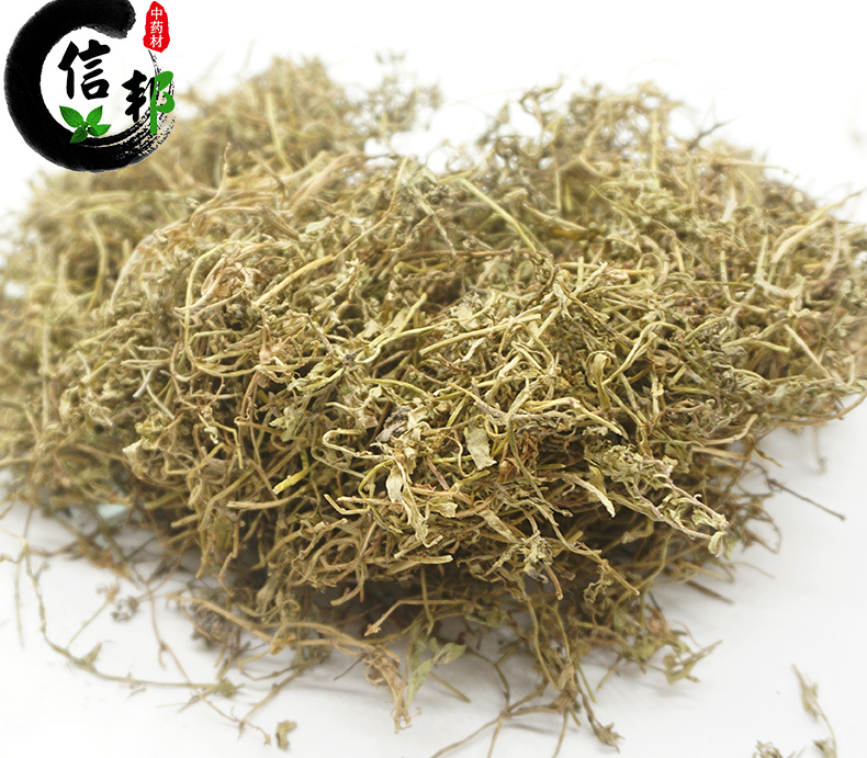 鹅不食草详情_07.jpg