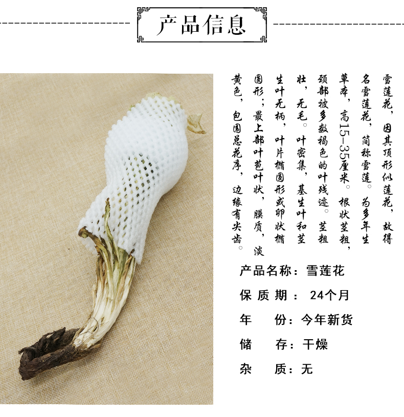 雪莲花_02.jpg