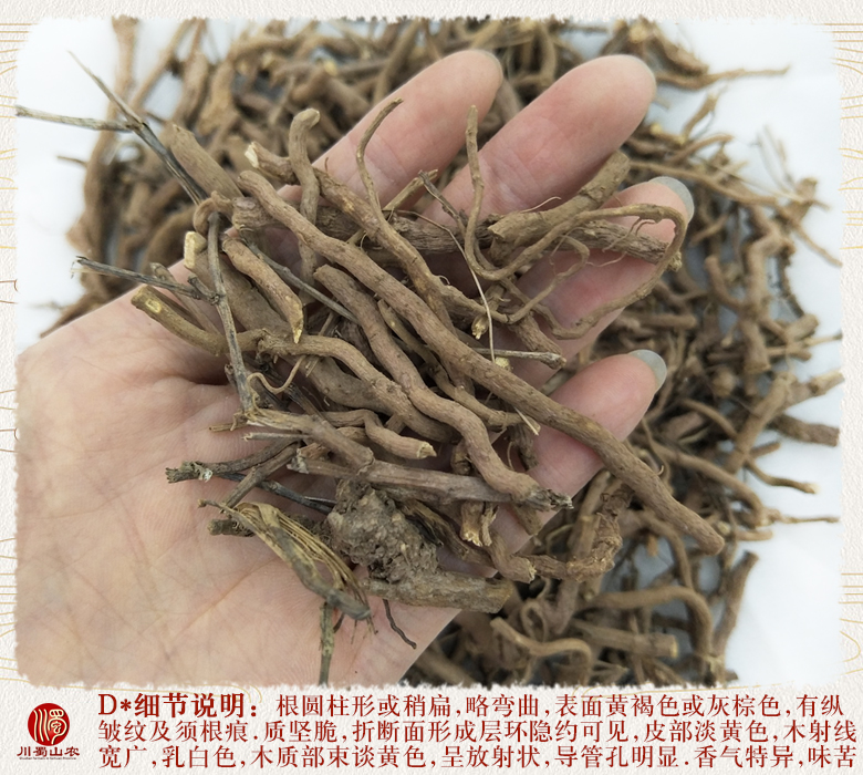 蒲公英模板详情3.jpg