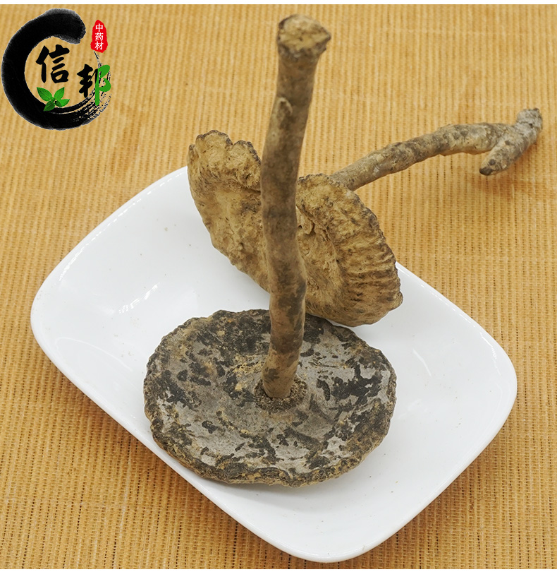 雪灵芝_07.jpg