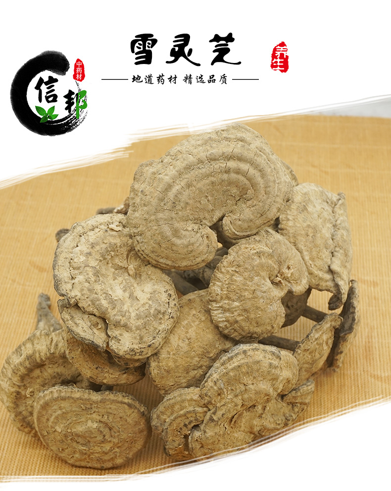 雪灵芝_01.jpg