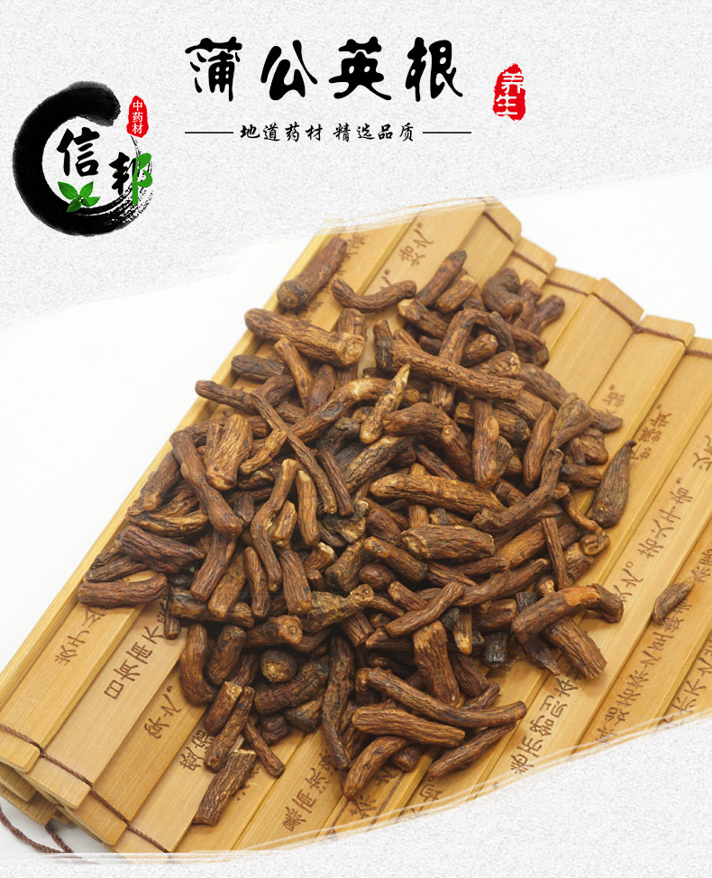 蒲公英根茶详情1.jpg