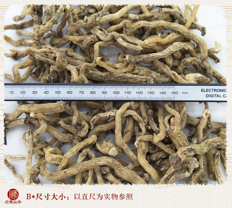 cstcssnyuzhuzhongdatiaotonghuo09.jpg