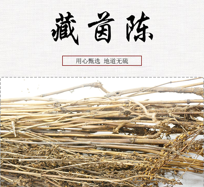 藏茵陈详情_01.jpg