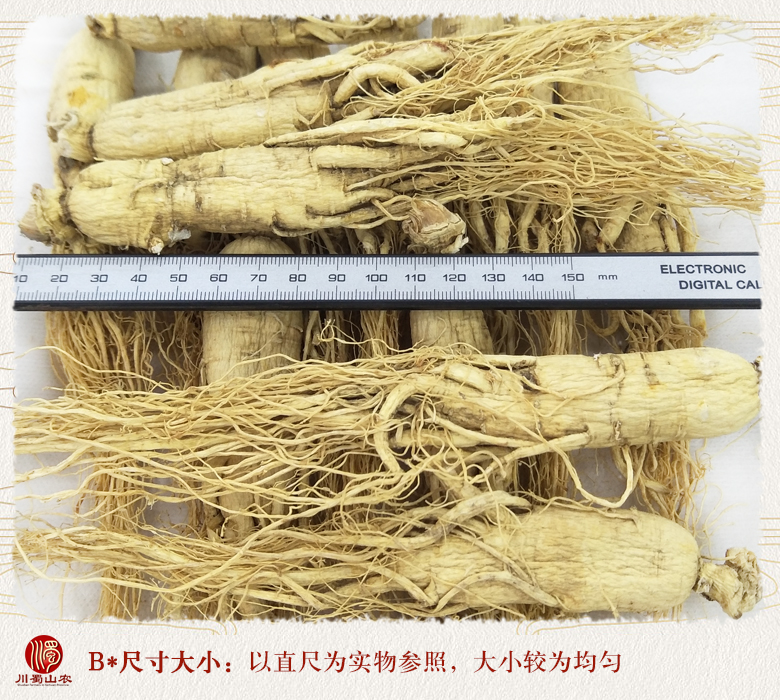 cstcssnrenshenzhengfu18zhi09.jpg