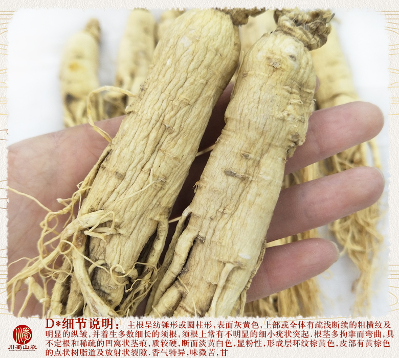 cstcssnrenshenzhengfu18zhi011.jpg