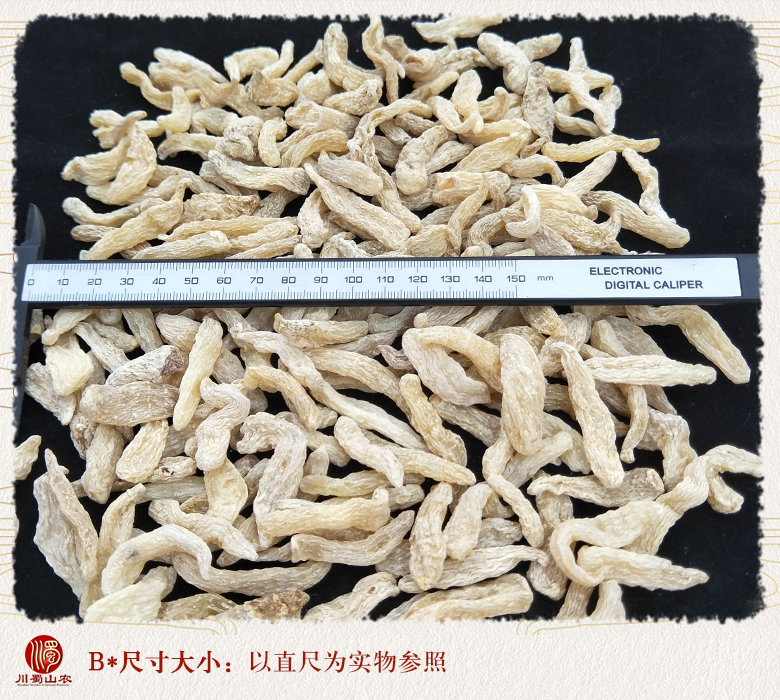cstcssnmaidongtianmaxiugai09.jpg