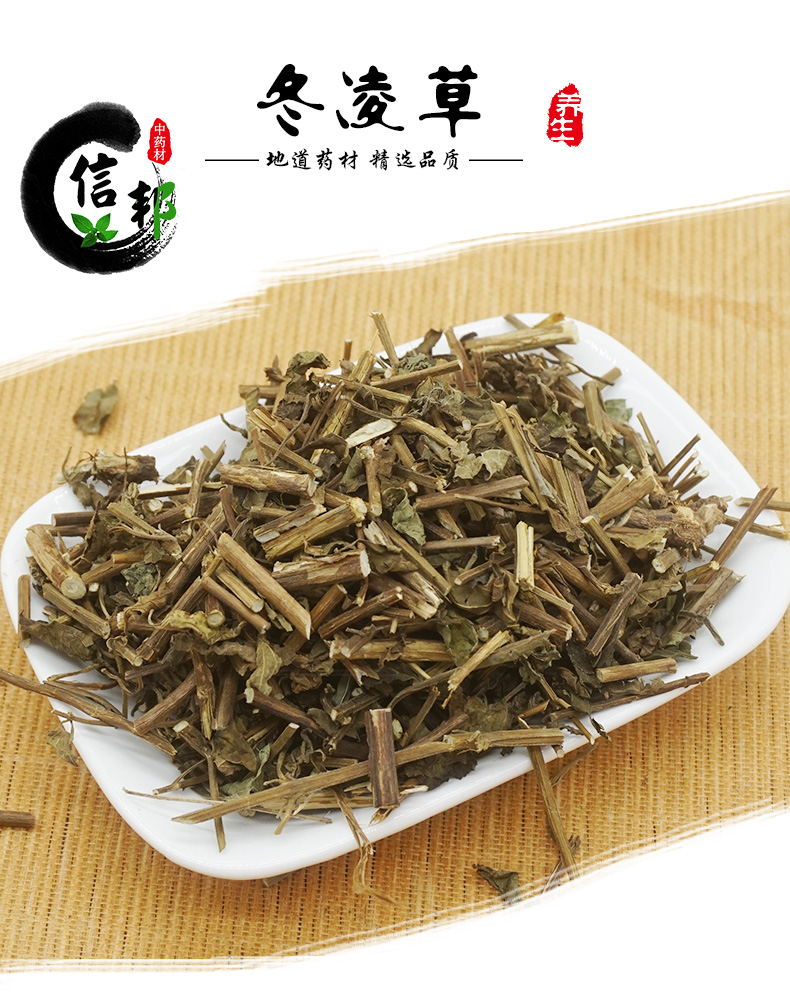 冬凌草_01.jpg