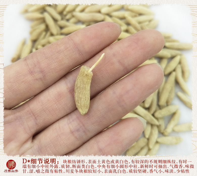 cstcssnchuanmaidongwangchukoubiiaozhun011.jpg