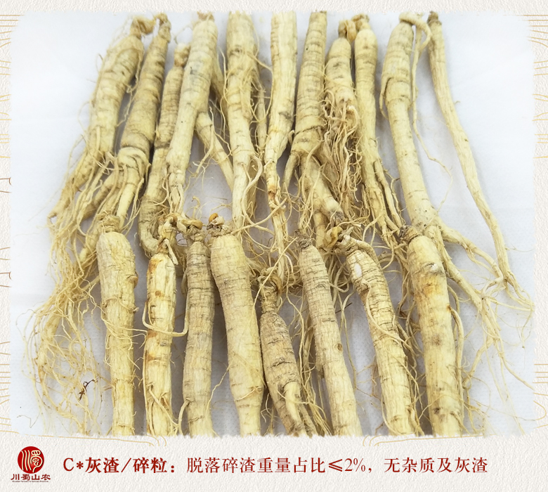 cstcssnrenshenzhengfu80zhi010.jpg
