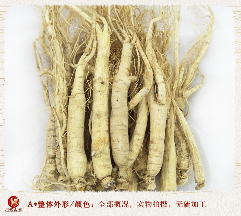 cstcssnrenshenzhengfu80zhi08.jpg