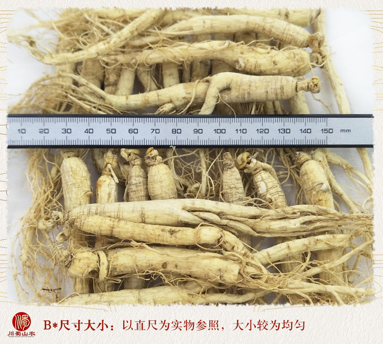 cstcssnrenshenzhengfu80zhi09.jpg