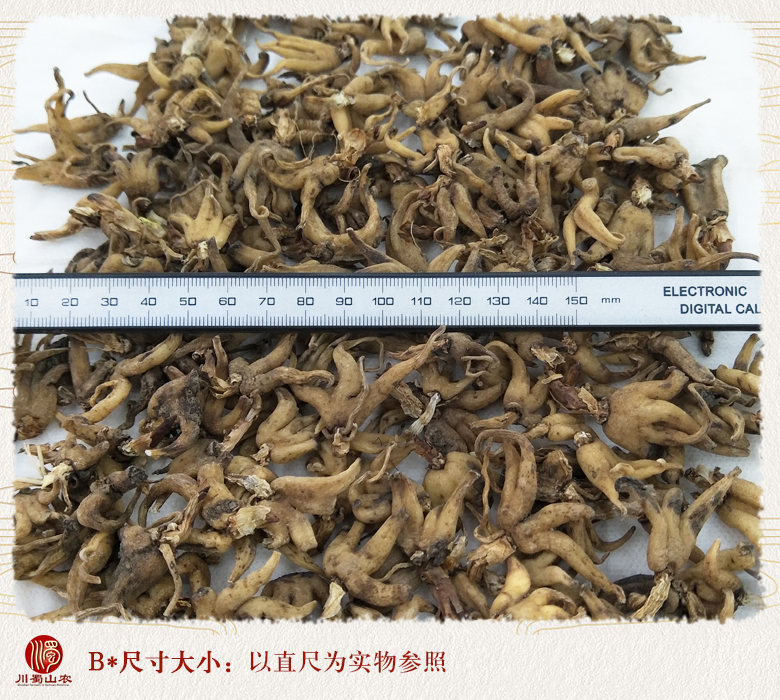 cstcssnshouzhangshenweiliutonghuo09.jpg