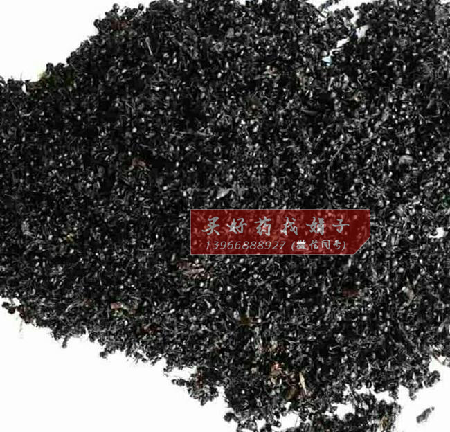 黑蚂蚁统货.jpg