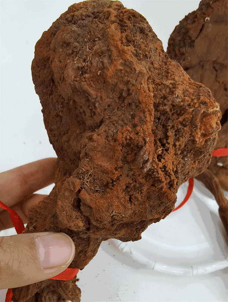壮阳草_04.gif
