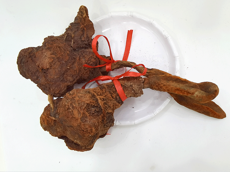 壮阳草_09.gif
