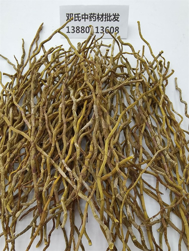 铁皮石斛_06.jpg